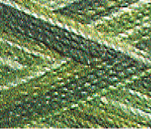 Maxi Lock Swirls Kiwi Twist