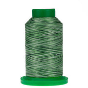 Shades of Grass Isacord Multi Color 1000m  9805
