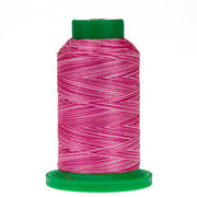 Raspberries & Cream Isacord Multi 1000m 9923