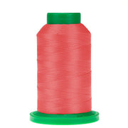 Isacord 1000m Polyester Strawberries N Cream - 1753