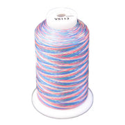 Exquisite Variegated Thread V113 Carnival