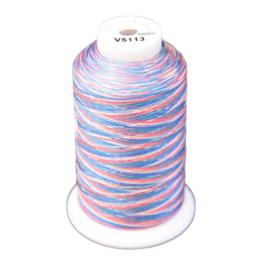 Exquisite Variegated Thread V113 Carnival