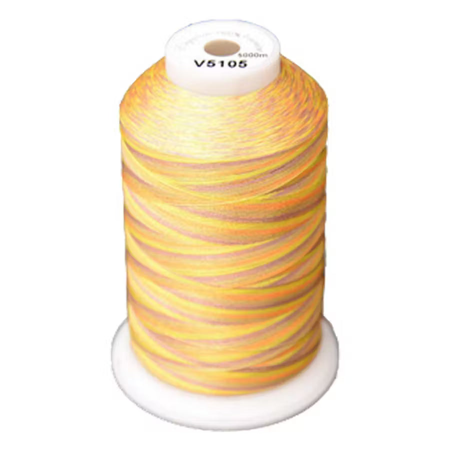 Exquisite Variegated Thread  V105 Citrus