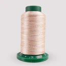 Exquisite Variegated Thread V109 Desert Canyon