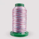 Exquisite Variegated Thread V113 Carnival