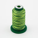 Exquisite Variegated Thread V102 Forest
