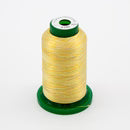 Exquisite Variegated Thread  V105 Citrus