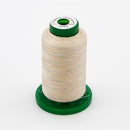 Exquisite Variegated Thread V109 Desert Canyon