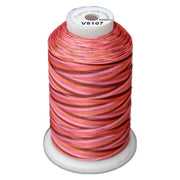 Exquisite Variegated Thread V107 Summer Berries