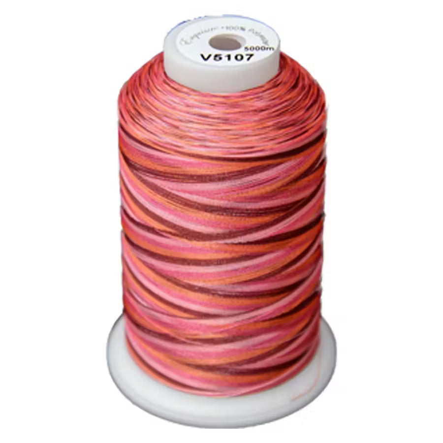 Exquisite Variegated Thread V107 Summer Berries