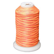 Exquisite Variegated Thread V101 Sunset